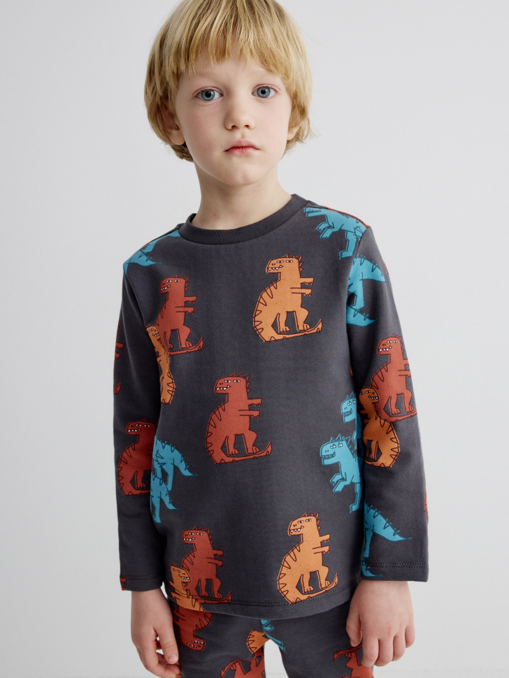 Лонгслив с начесом для мальчиков, SL5809060208
Лонгслив с начесом для мальчиков, SL5809060208