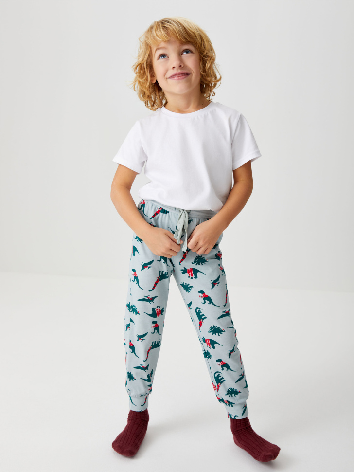 

Домашние брюки для мальчиков, Зеленый