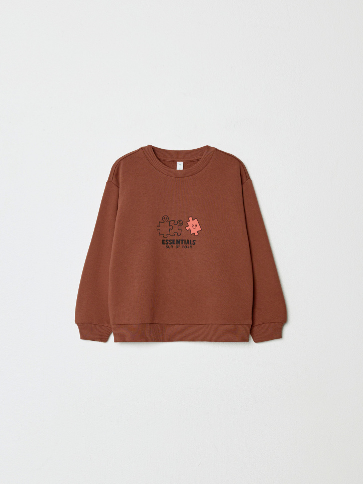 свитшот с принтом для мальчиков 4610517132284 фотография