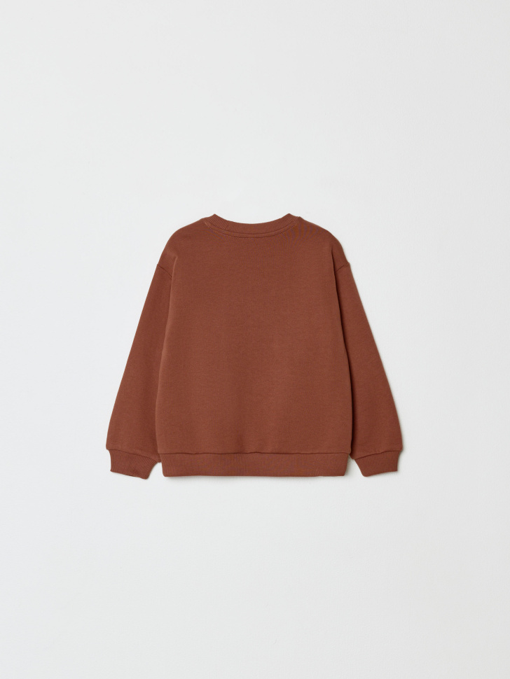 свитшот с принтом для мальчиков 4610517132284 по акции