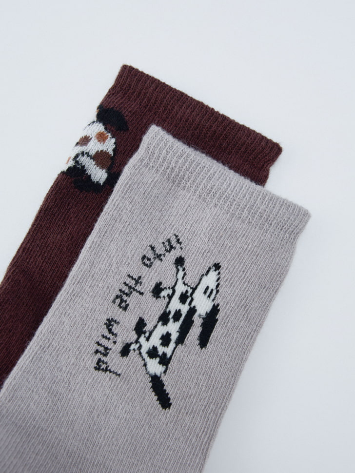 набор из 2 пар носков с принтом для мальчиков 4680798254494 по акции