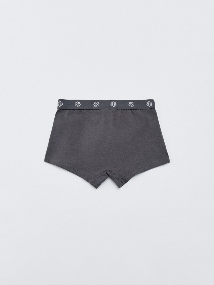 набор из 2 трусов-боксеров для мальчиков  x смешарики 4610517119896 с промокодом