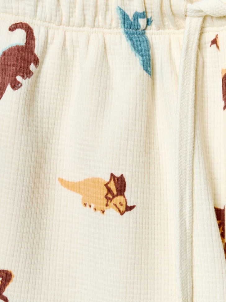 трикотажные шорты с принтом для мальчиков из россии вид сбоку