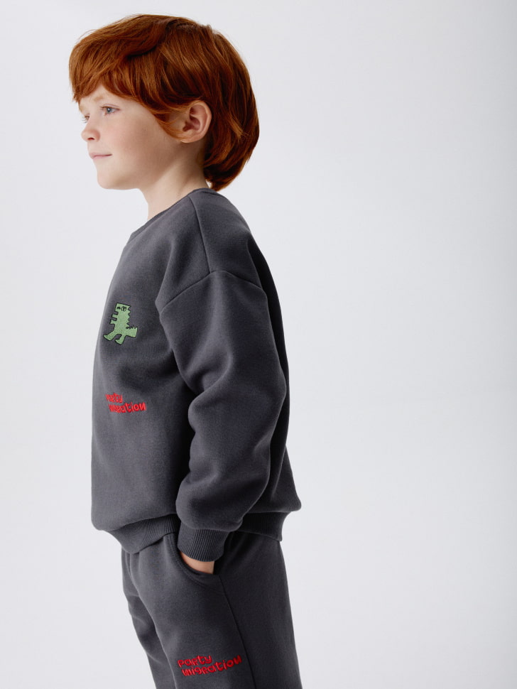свитшот с объемной аппликацией для мальчиков 4610517010650 в интернет магазине