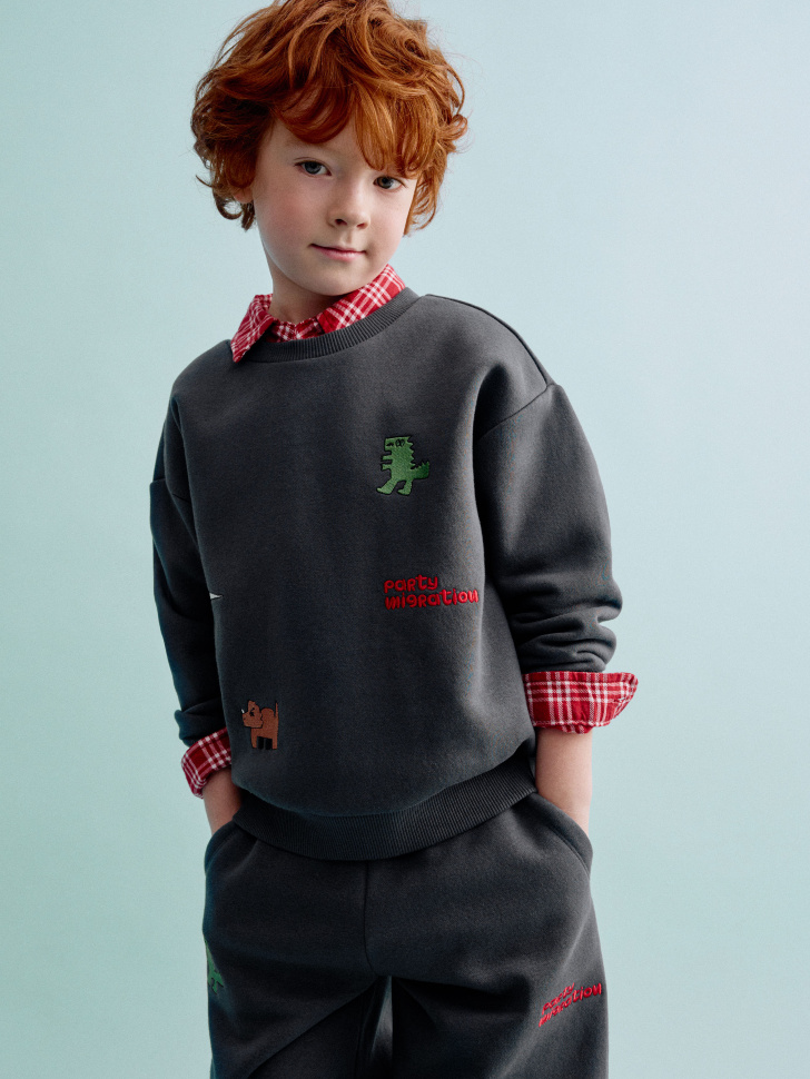 

Свитшот с объемной аппликацией для мальчиков, SL5811060402