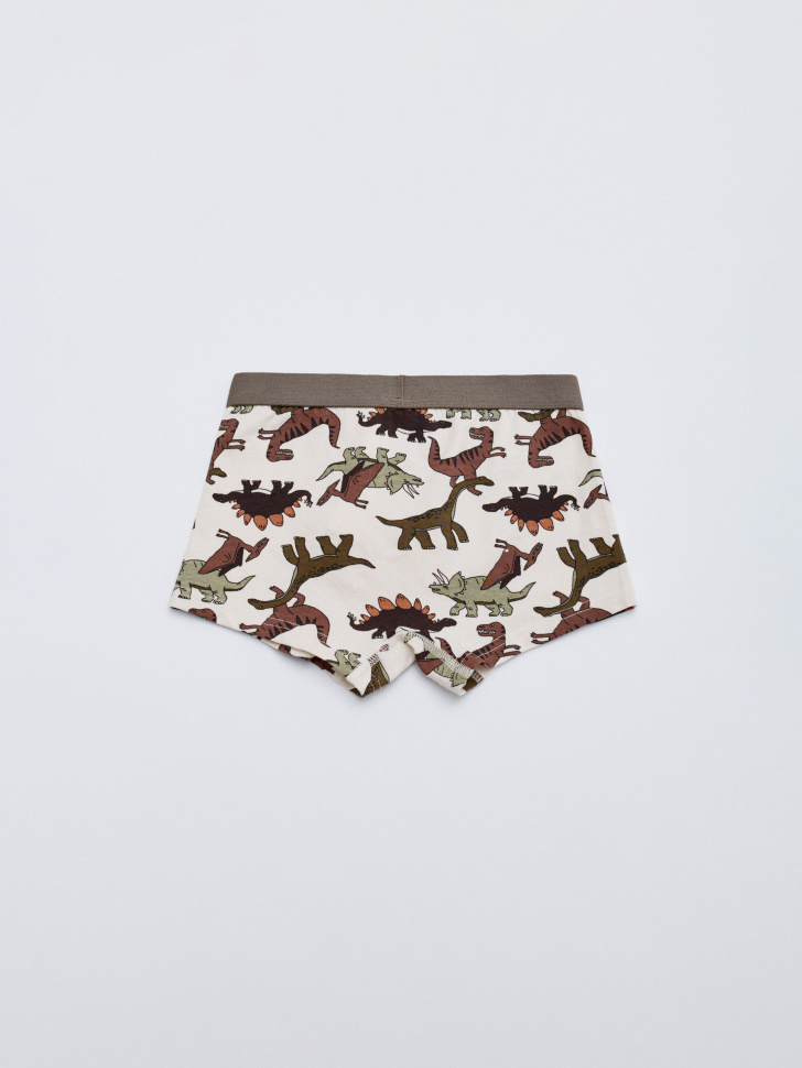 набор из 2 трусов-боксеров для мальчиков 4610517119834 с промокодом