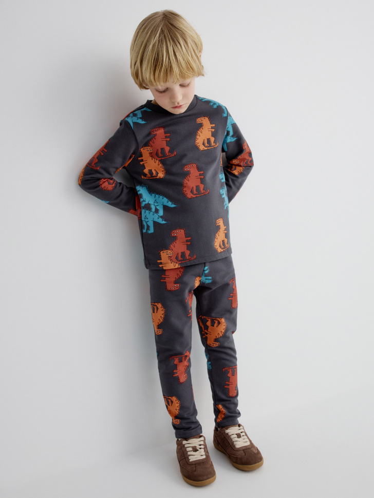 Трикотажные брюки Sela с начесом для мальчиков, разноцветный, арт. 33683