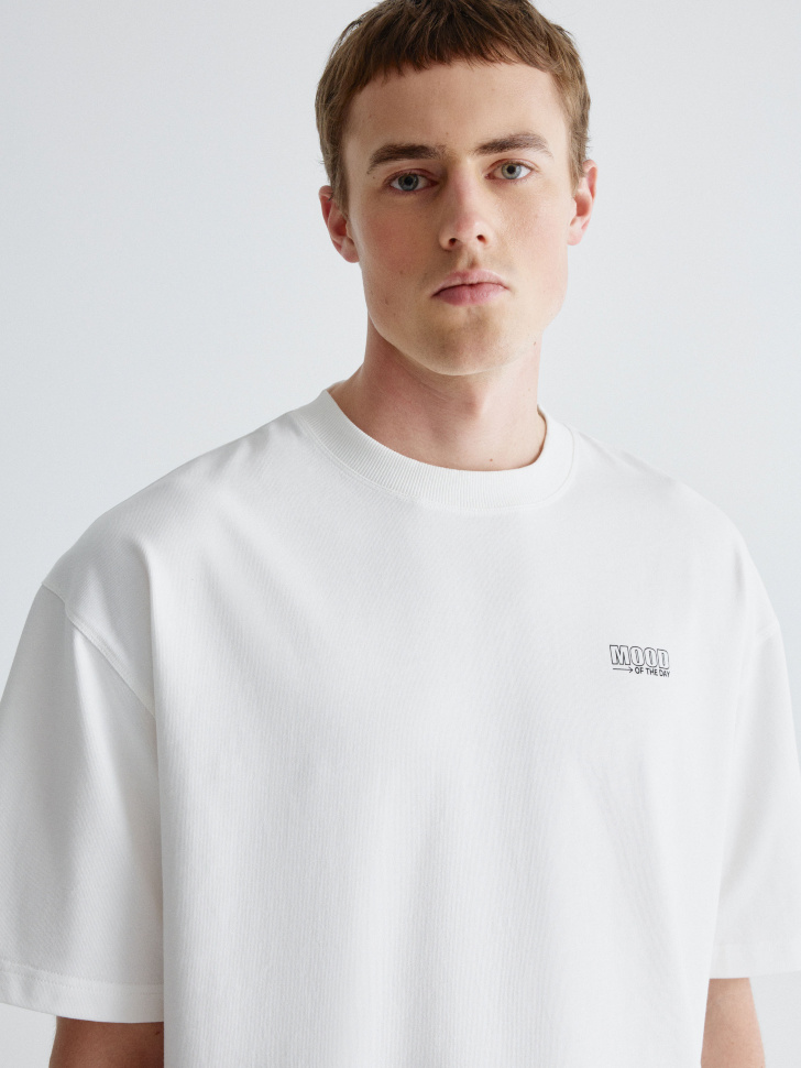 футболка с принтом из коллекции  x смешарики 4610517161482 в интернет магазине