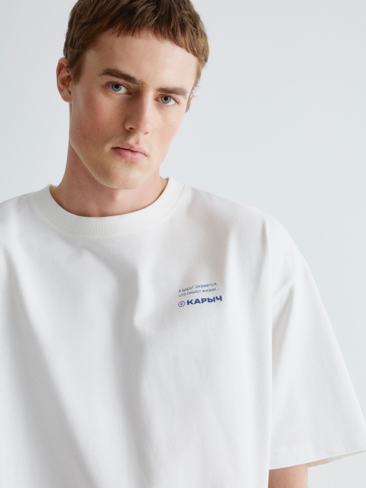 футболка с принтом из коллекции  x смешарики 4610517161611 в интернет магазине