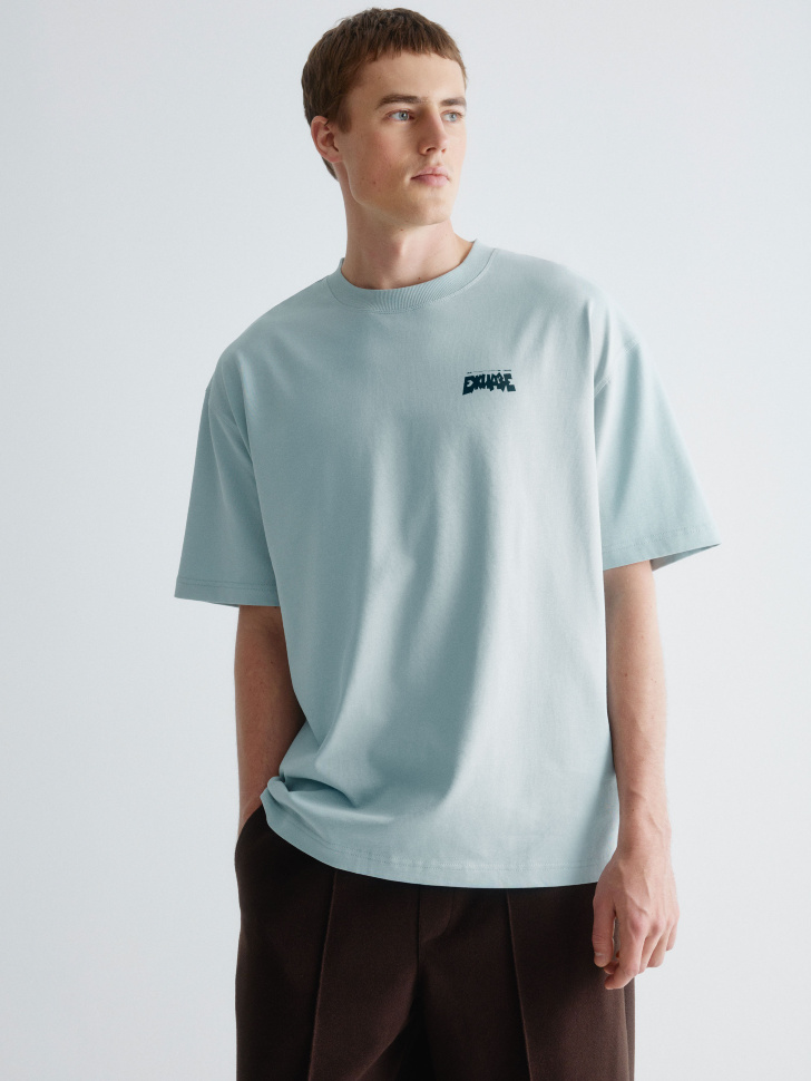 футболка с принтом из коллекции  x смешарики 4610517161536 фотография