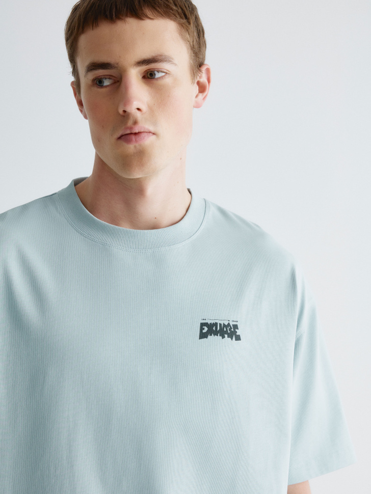 футболка с принтом из коллекции  x смешарики 4610517161536 с промокодом