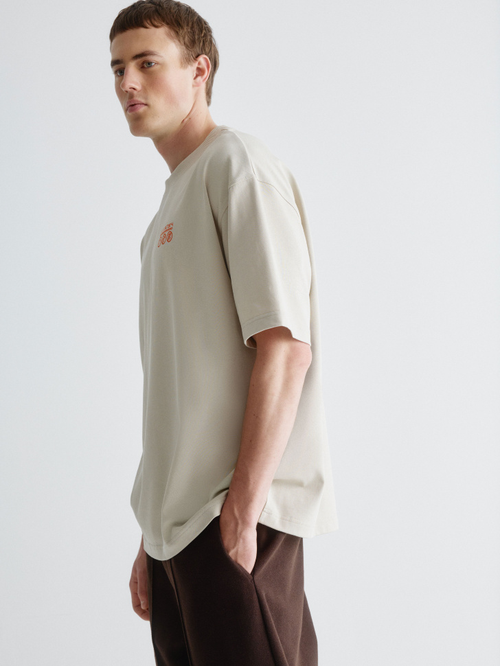 футболка с принтом из коллекции  x смешарики 4610517161772 купить с доставкой