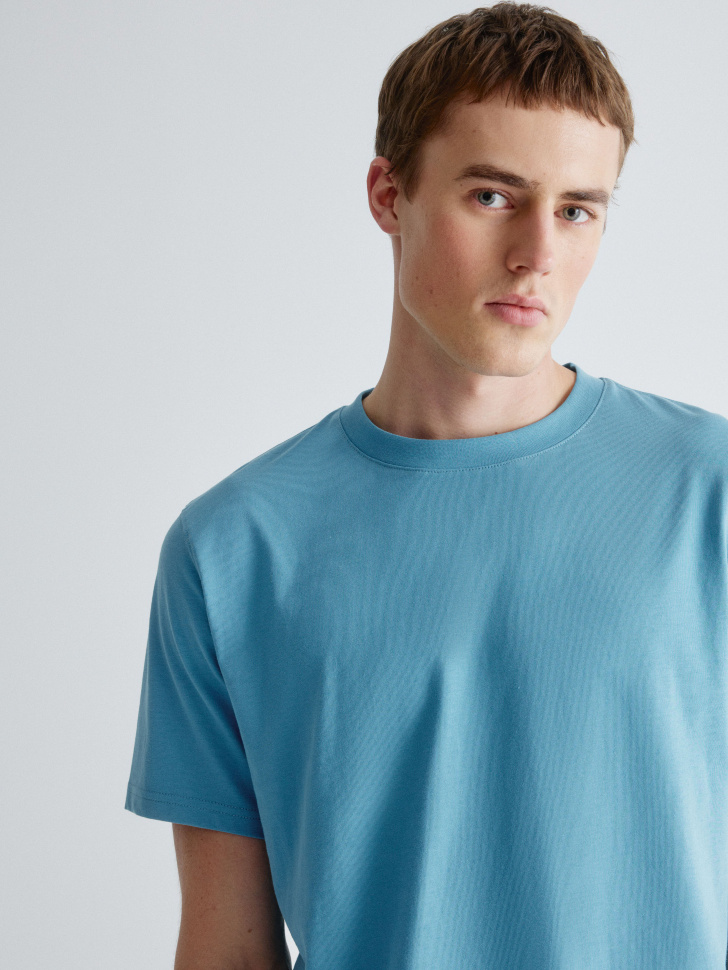 базовая футболка peter regular fit 4610517146212 в интернет магазине