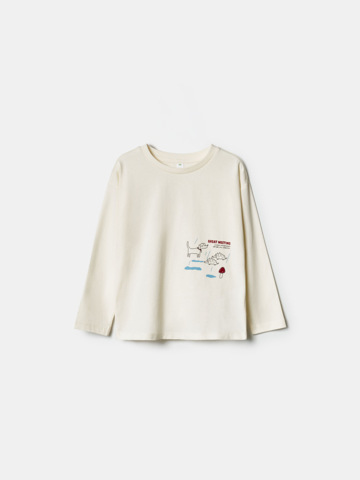 лонгслив с принтом для мальчиков 4610517321558 фотография