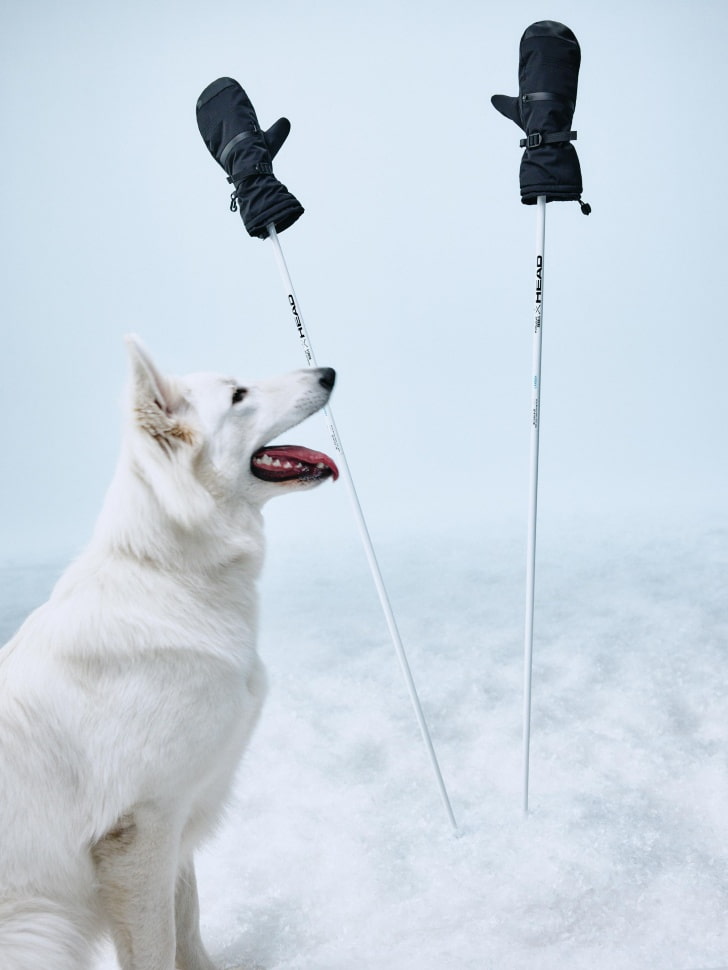 

Утепленные горнолыжные варежки, SL5811162901