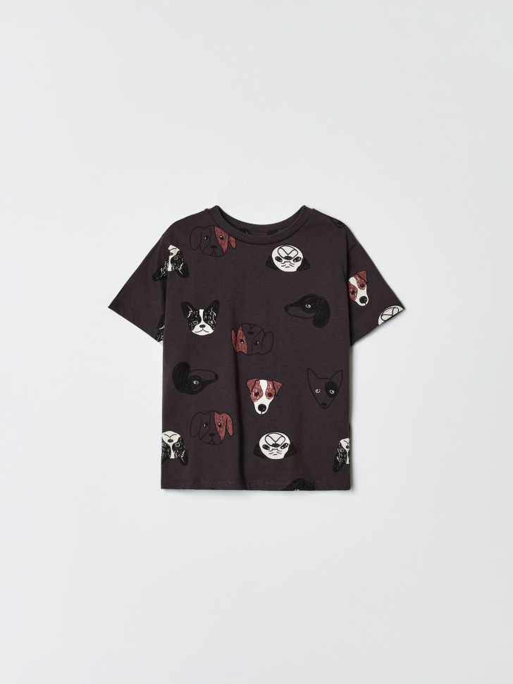 Футболка Sela с принтом для мальчиков, серый, арт. 34247