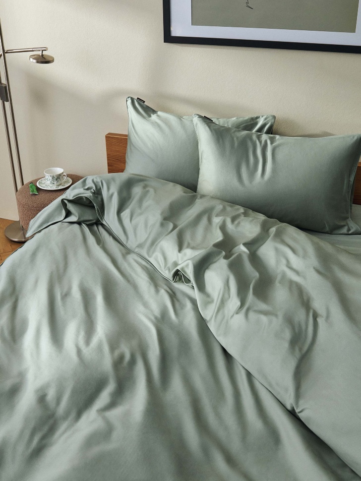 

Комплект постельного белья из сатина без простыни 2-х спальный 200х220 см, SL6801226213