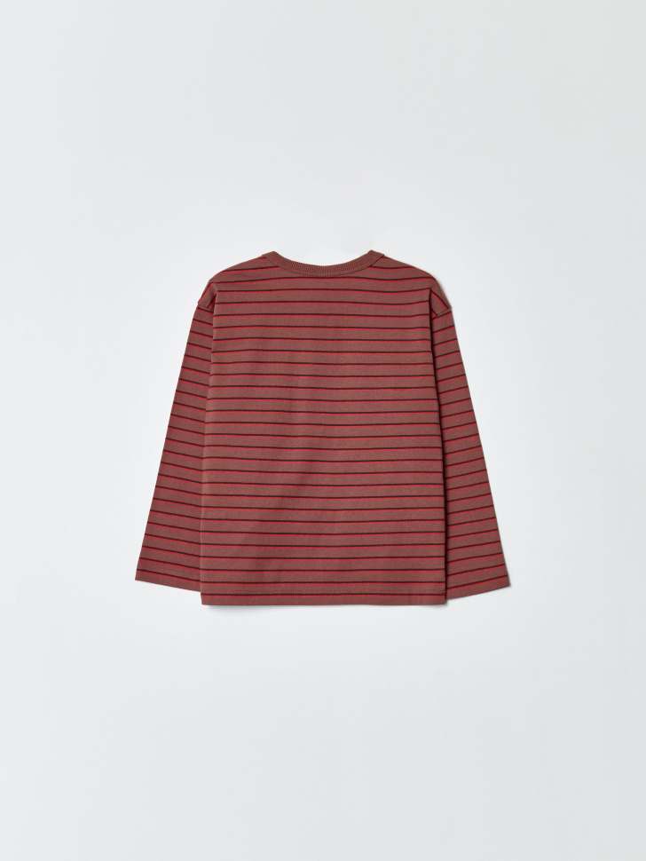 Товар с артикулом 4610517040831 вид сзади