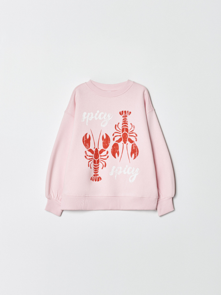 свитшот с принтом для девочек по цене 1999 руб вид справа