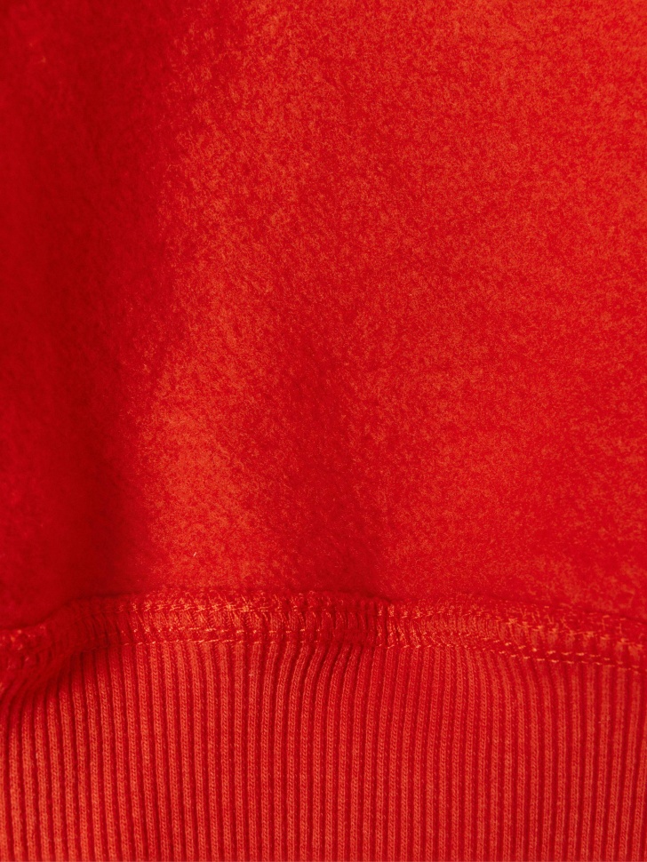 свитшот оверсайз с вышивкой  x союзмультфильм по цене 4599 руб вид справа