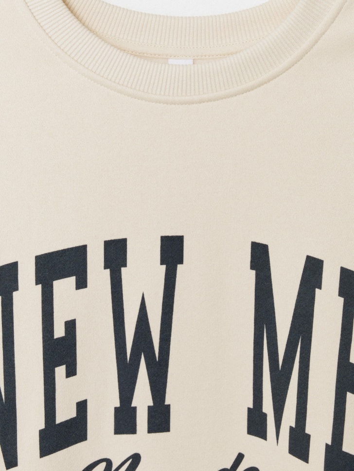 свитшот с принтом для мальчиков из россии вид сбоку