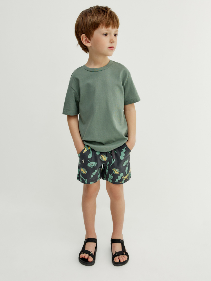 трикотажные шорты с принтом для мальчиков 4610517982889 фотография