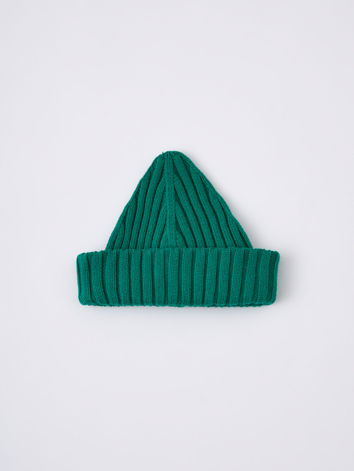 Базовая шапка с отворотом детская (зеленый, 54)