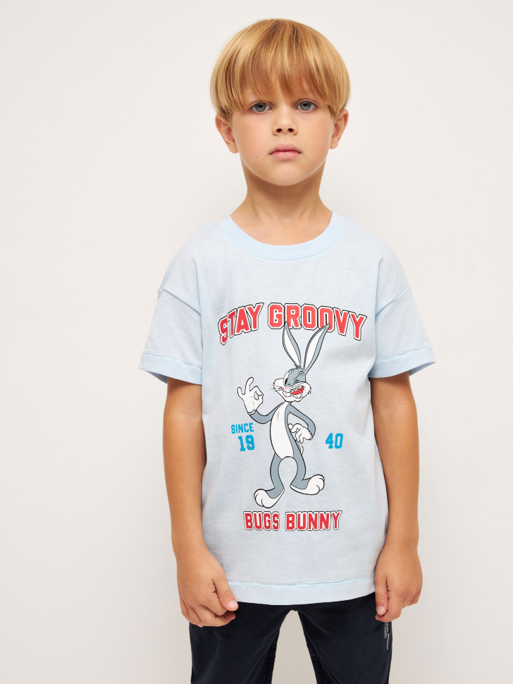 

Футболка с принтом Looney Tunes для мальчиков, Голубой