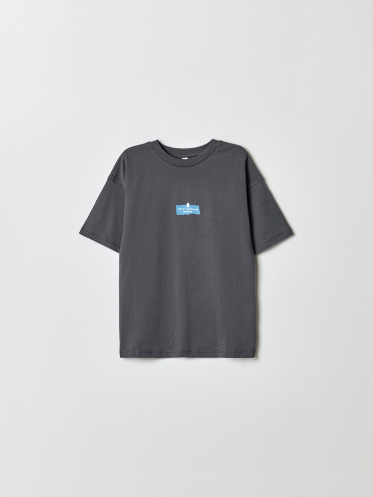 Футболка оверсайз Sela с принтом, серый, арт. 40590